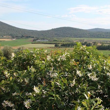 Agriturismo Podere Montenero Алберезе Екстериор снимка