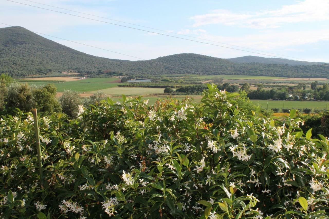 Agriturismo Podere Montenero Алберезе Екстериор снимка